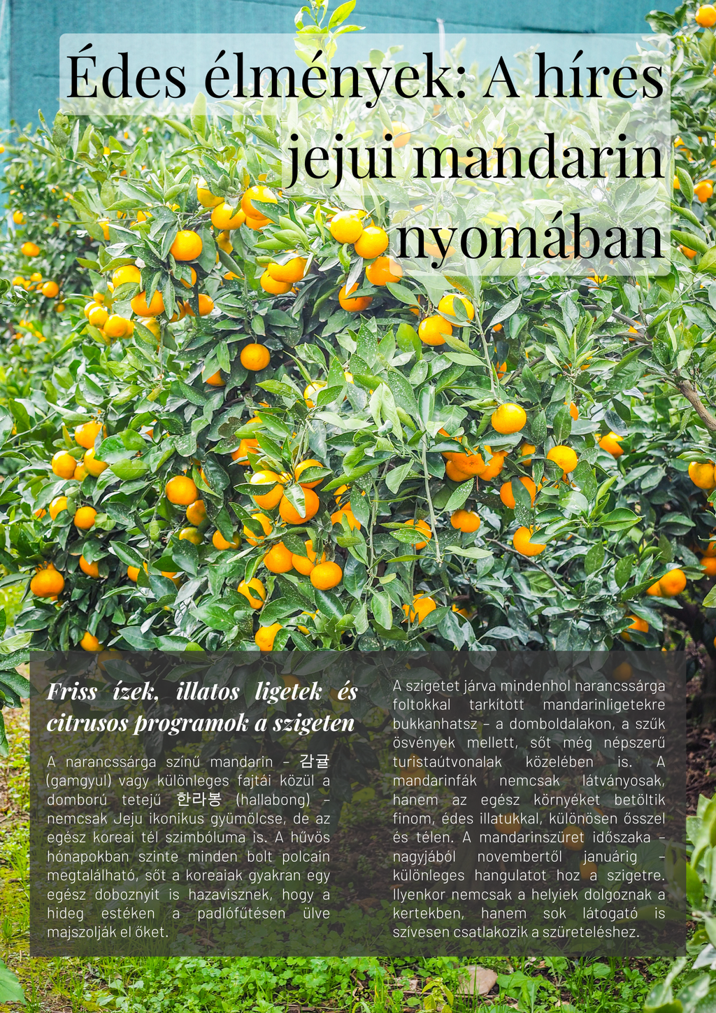 Csodálatos Jeju - Útikalauz a sziget szívéhez